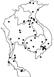 Euploea sylvester harrisii map
