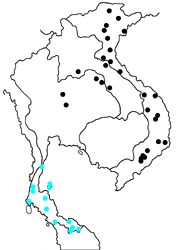 Euploea tulliolus ledereri map
