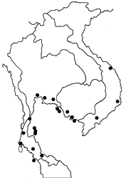 Euploea phaenareta castelnaui map