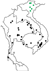 Euploea midamus midamus map