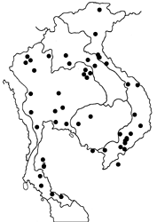 Euploea klugii erichsonii map