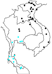 Euploea eunice leucogonis map