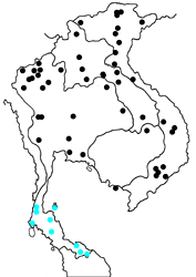 Melanitis phedima ganapati map