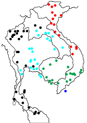 Elymnias hypermnestra meridionalis map