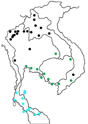 Elymnias nesaea timandra map