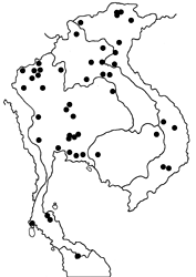 Elymnias malelas map