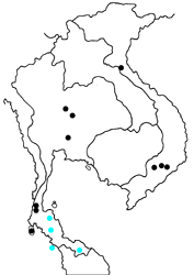 Elymnias penanga chelensis map