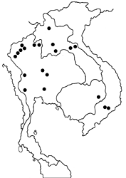 Elymnias vasudeva map