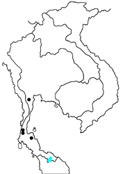 Elymnias esaca andersonii map
