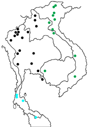 Lethe chandica chandica map