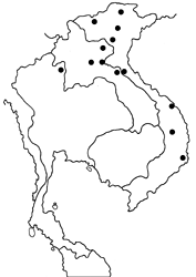 Lethe hyrania caerulescens map