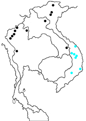 Lethe sinorix hanhi map