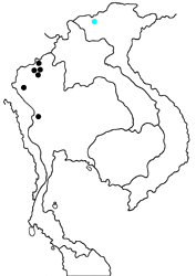 Neope pulahoides pulahoides map