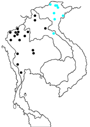 Neope muirheadii lahittei map