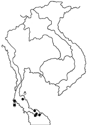 Neorina lowii neophyta map