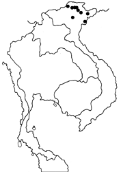Penthema michallati map