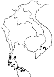 Mycalesis distanti map
