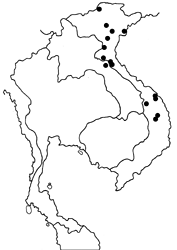 >Mycalesis mucianus mucianus map
