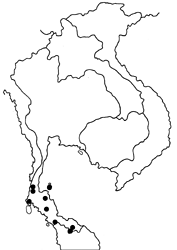 Mycalesis orseis nautilus map