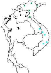 Mycalesis francisca gomia map