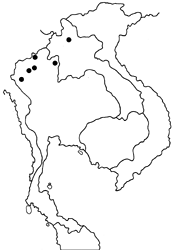Mycalesis suaveolens duguidi map