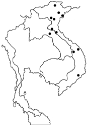 Mycalesis deficiens map