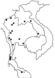 Mycalesis anaxioides map