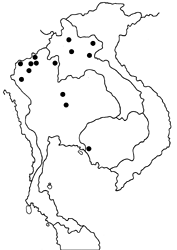 Mycalesis lepcha kohimensis map