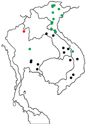 Coelites nothis nothis map
