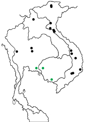 Erites falcipennis falcipennis map