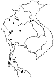 Erites angularis angularis map