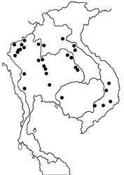 Ypthima lisandra lisandra map