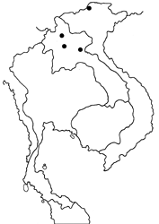 Ypthima conjuncta monticola map