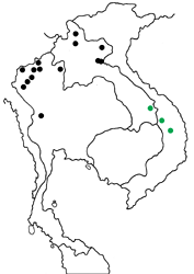 Ypthima dohertyi mossmani map