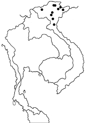 Stichophthalma suffusa tonkiniana map