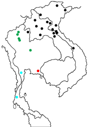 Stichophthalma mathilda siamensis map