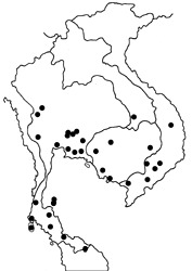 Amathusia phidippus phidippus map