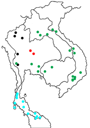 Amathuxidia amythaon amythaon map