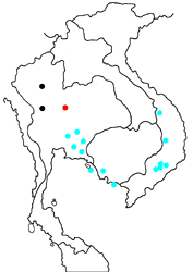 Zeuxidia masoni tannowai map
