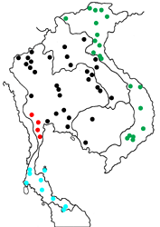 Discophora sondaica tulliana map