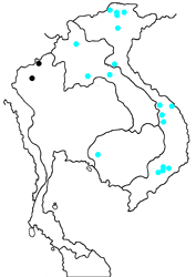 Discophora deo fruhstorferi map