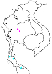Enispe duranius intermedia map