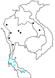 Agatasa calydonia calydonia map