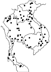 Polyura athamas athamas map