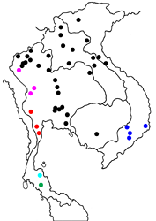 Polyura eudamippus giudicii map