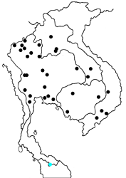 Eriboea solon echo map