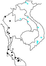 Cyrestis nivea tonkiniana map