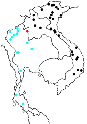 Stibochiona nicea nicea map
