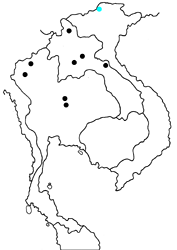 Mimathyma chevana chevana map
