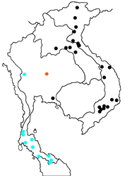 Eulaceura osteria sitarama map